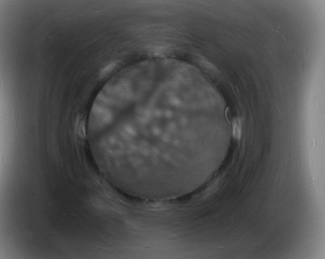 X0000085281155200703301910