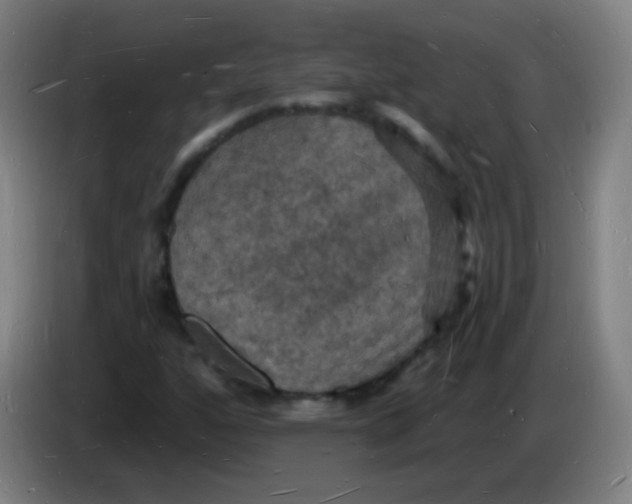 X0000085281160200703301909