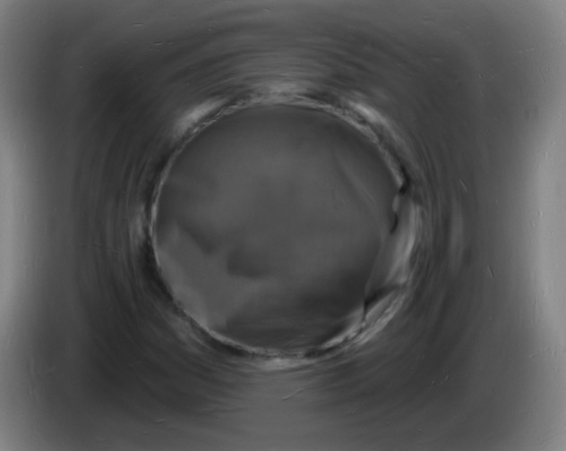 X0000085281161200703301909