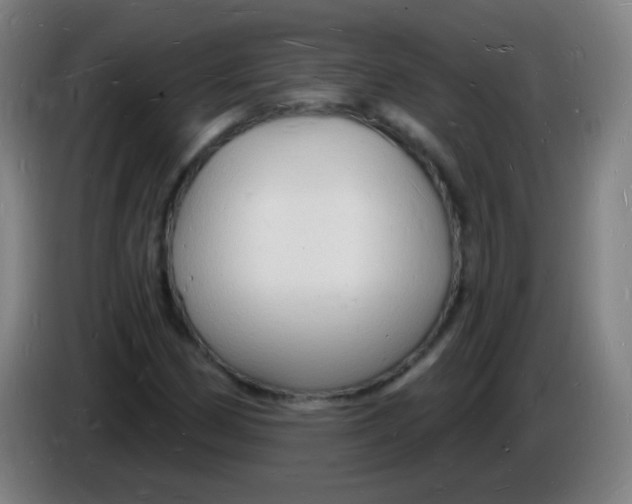 X0000085281162200703301909