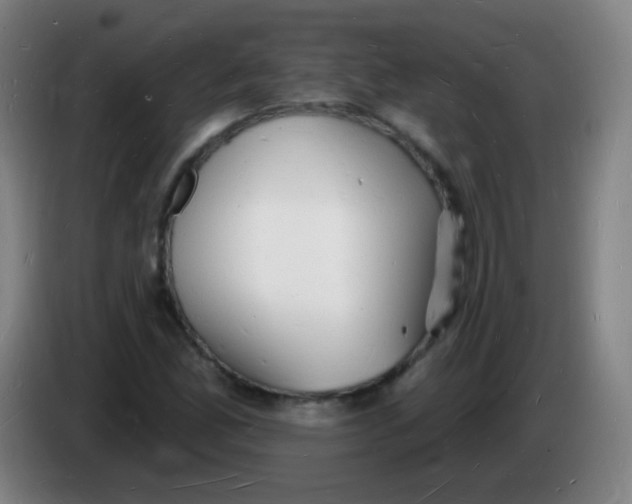 X0000085281165200703301909