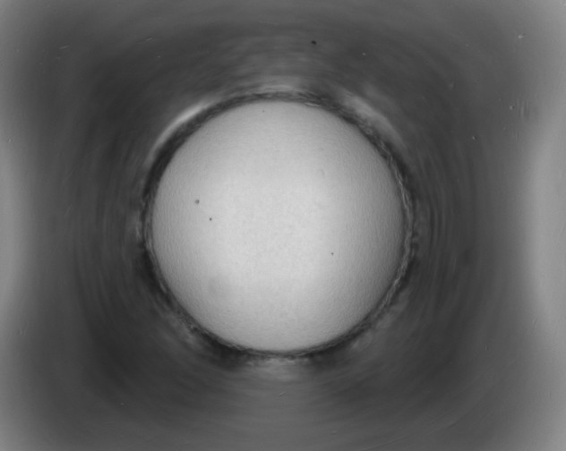 X0000085281166200703301909