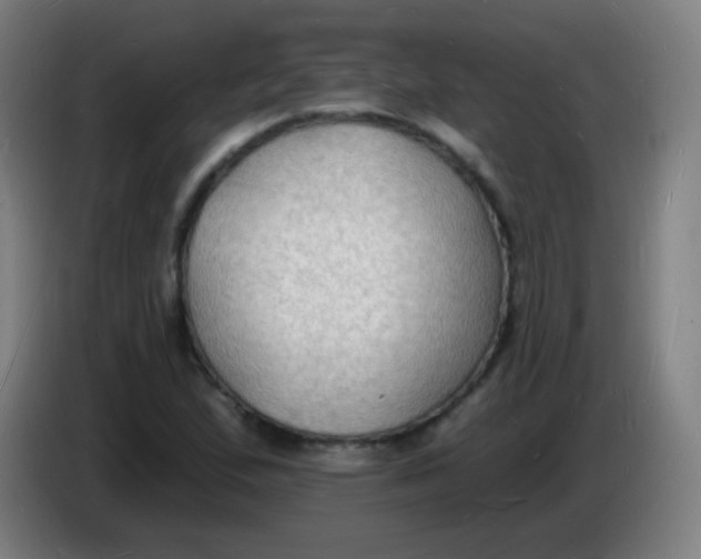 X0000085281167200703301909