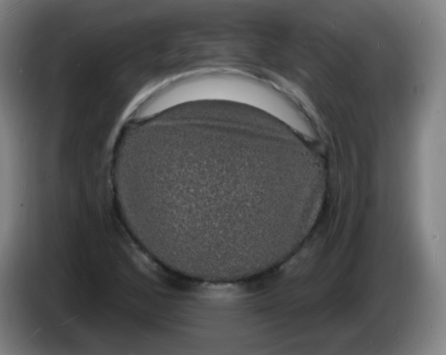 X0000085281168200703301909