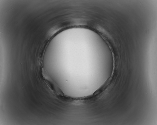X0000085281169200703301909