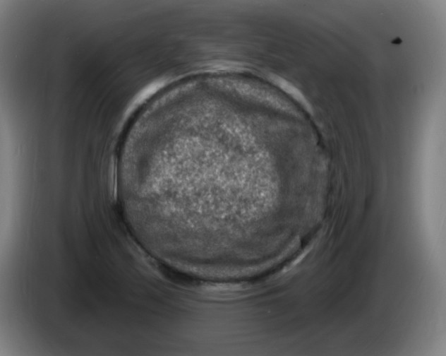 X0000085281171200703301909
