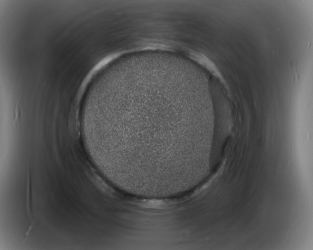 X0000085281172200703301909