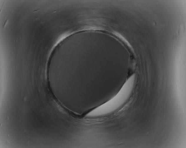 X0000085281173200703301909