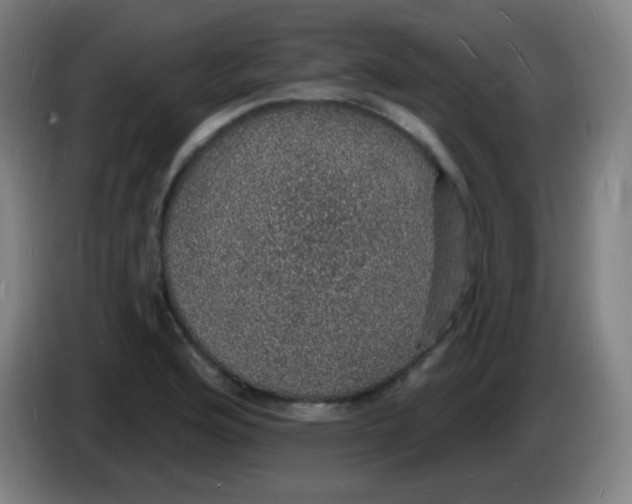 X0000085281176200703301909