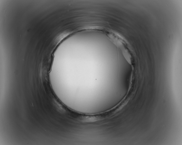 X0000085281177200703301909