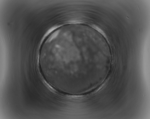 X0000085281179200703301909