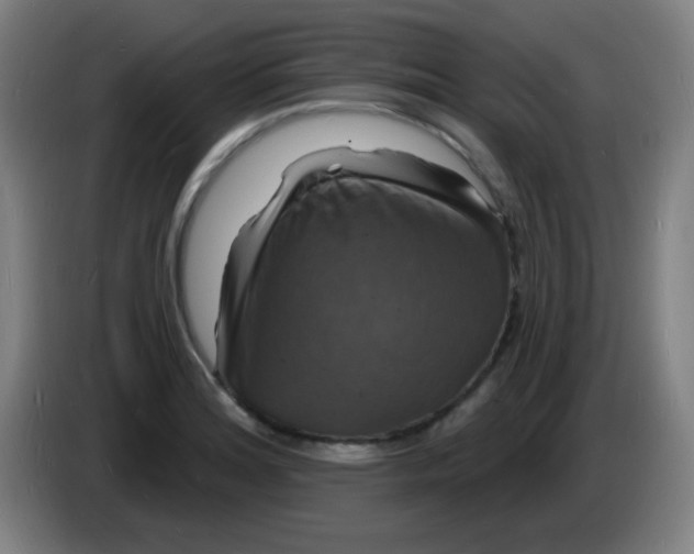 X0000085281180200703301909