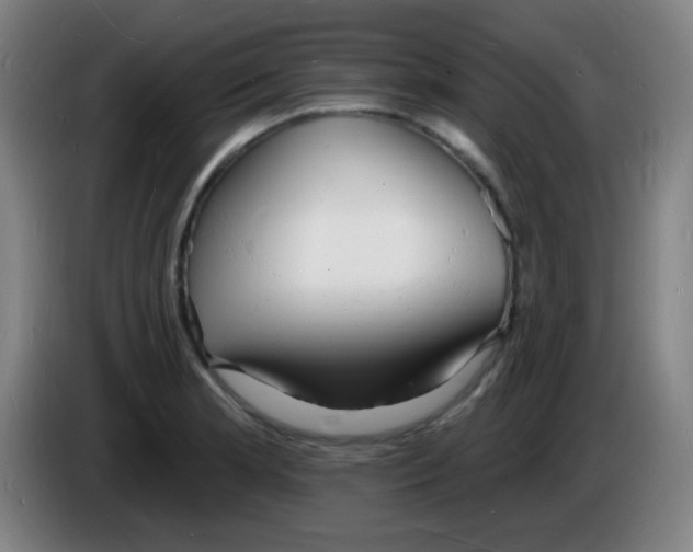 X0000085281181200703301909