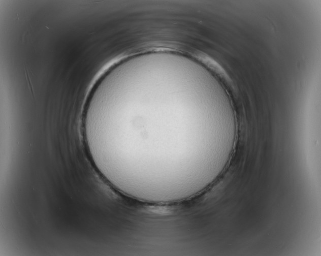 X0000085281182200703301909