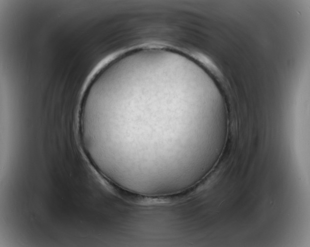 X0000085281183200703301909