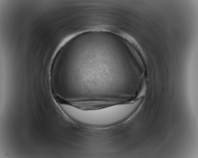 X0000085281184200703301909