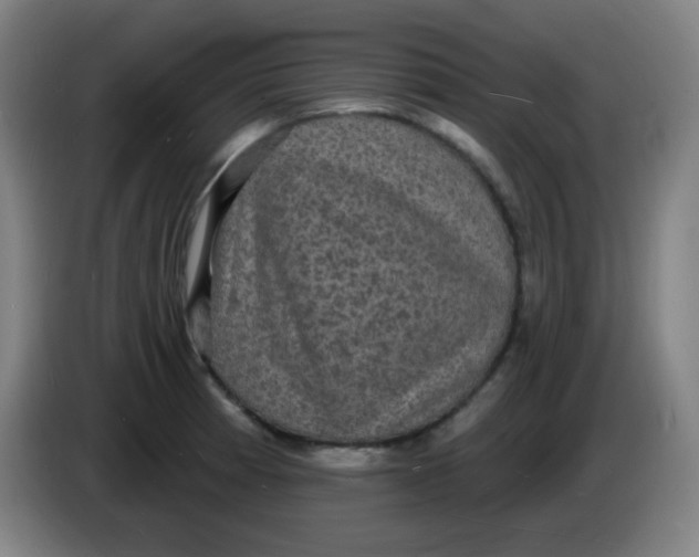 X0000085281185200703301909