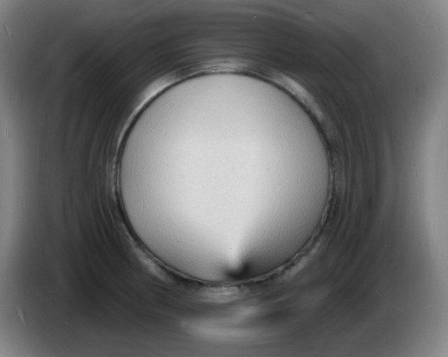 X0000085281186200703301909