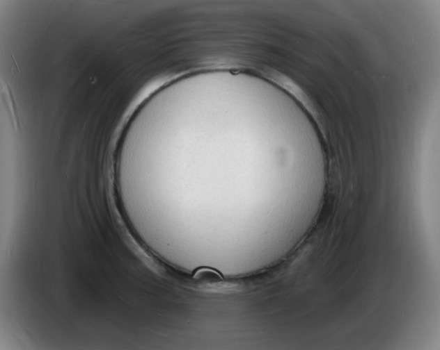 X0000085281187200703301909