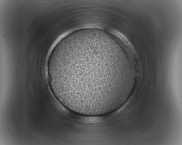 X0000085281188200703301909