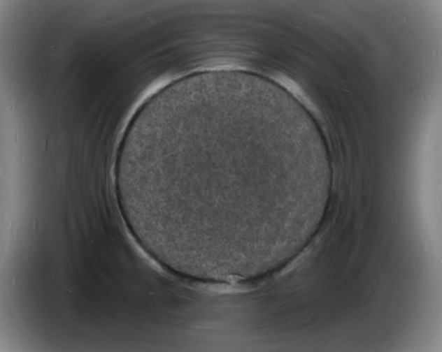 X0000085281189200703301909