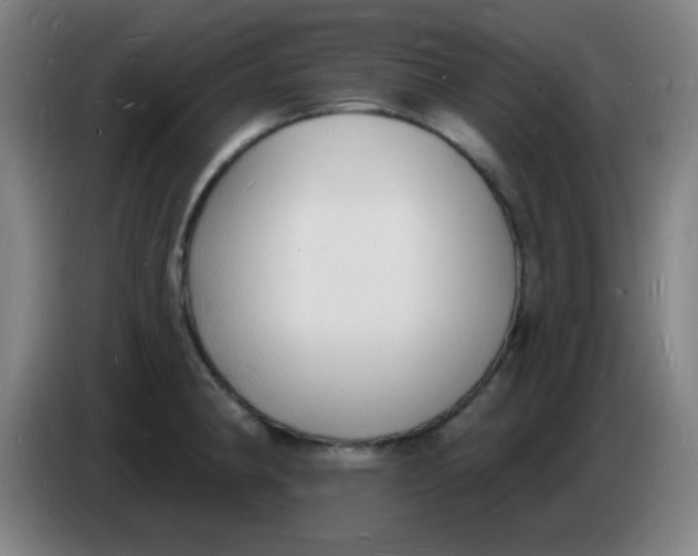 X0000085281190200703301909