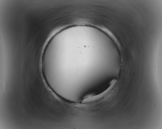 X0000085281191200703301909