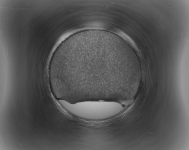 X0000085281192200703301909