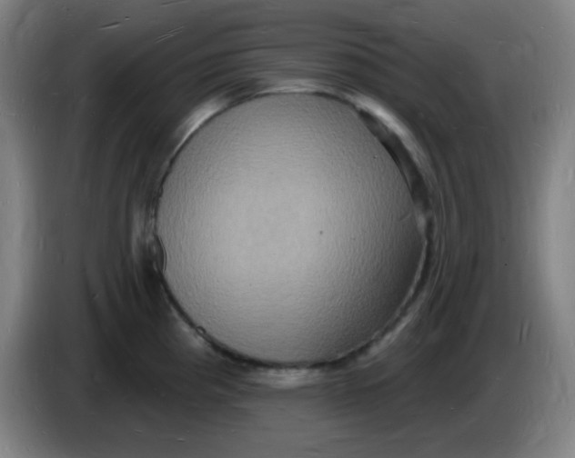 X0000085281193200703301909