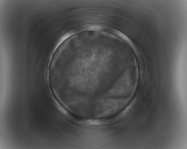 X0000085281194200703301909