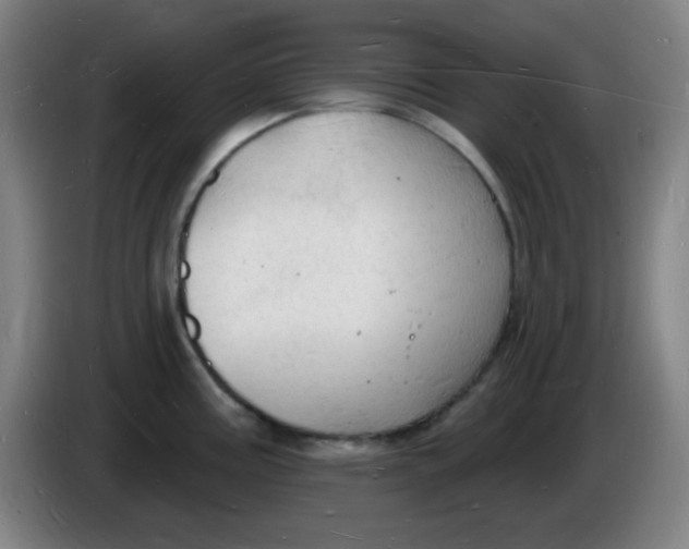 X0000085281195200703301909