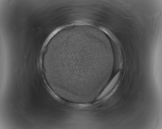 X0000085281196200703301909