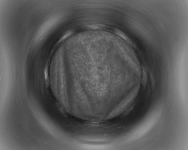 X0000085281198200703301909