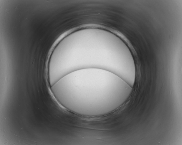 X0000085281199200703301909