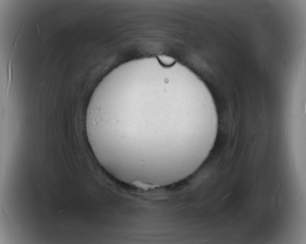 X0000085281201200703301908