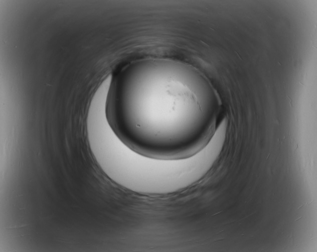 X0000085281202200703301908