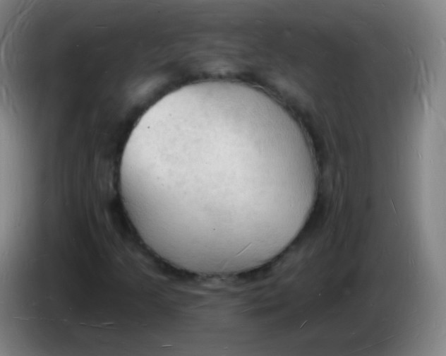 X0000085281205200703301908