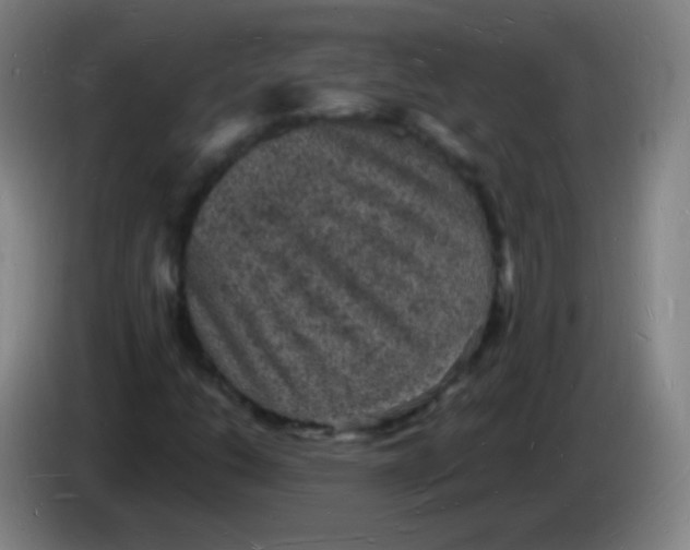 X0000085281206200703301908