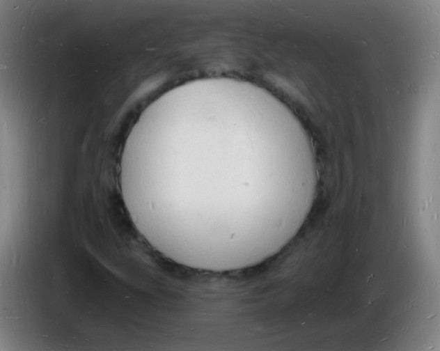 X0000085281207200703301908