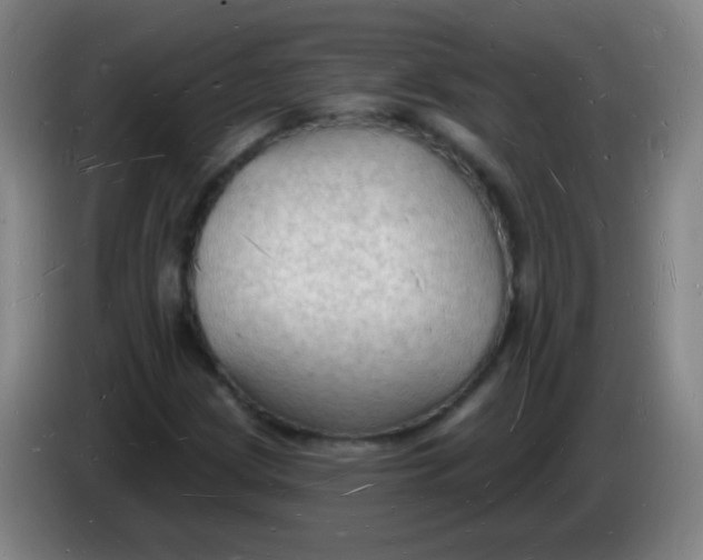 X0000085281209200703301908
