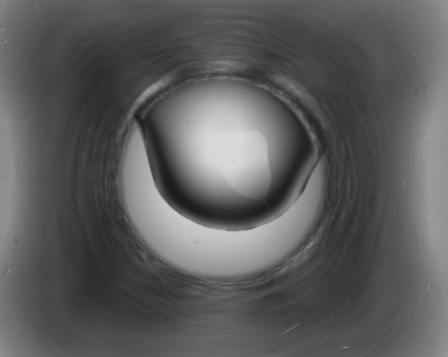 X0000085281210200703301908