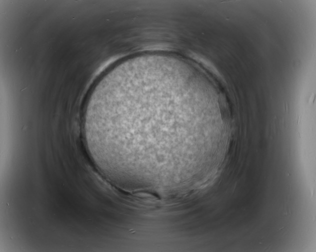X0000085281212200703301908