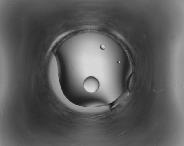 X0000085281214200703301908