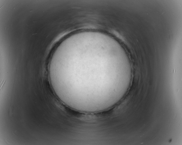 X0000085281215200703301908