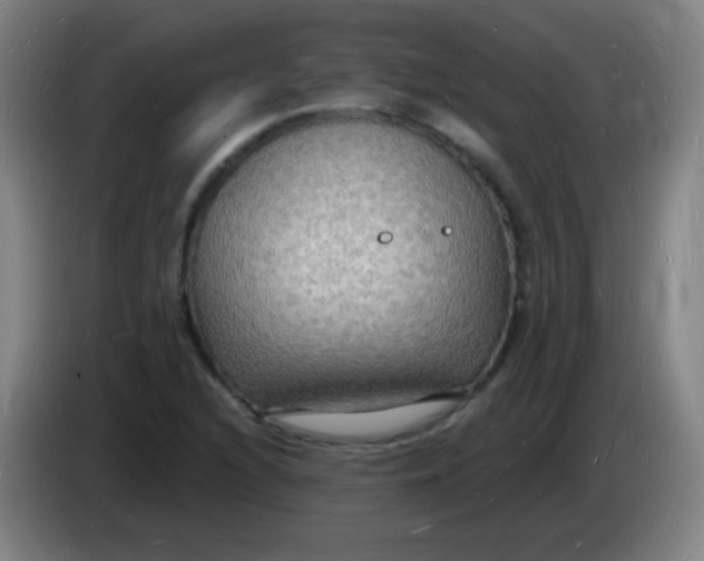 X0000085281216200703301908