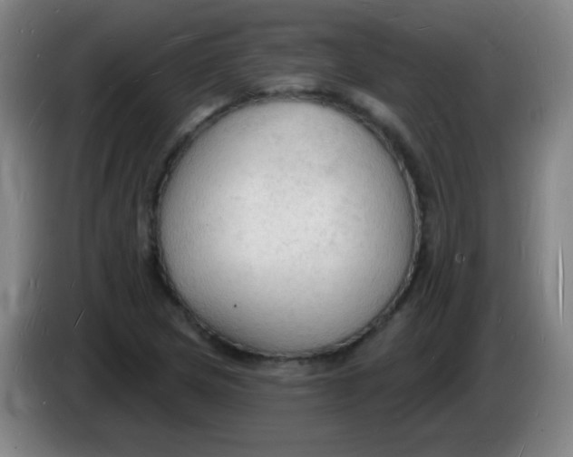 X0000085281217200703301908