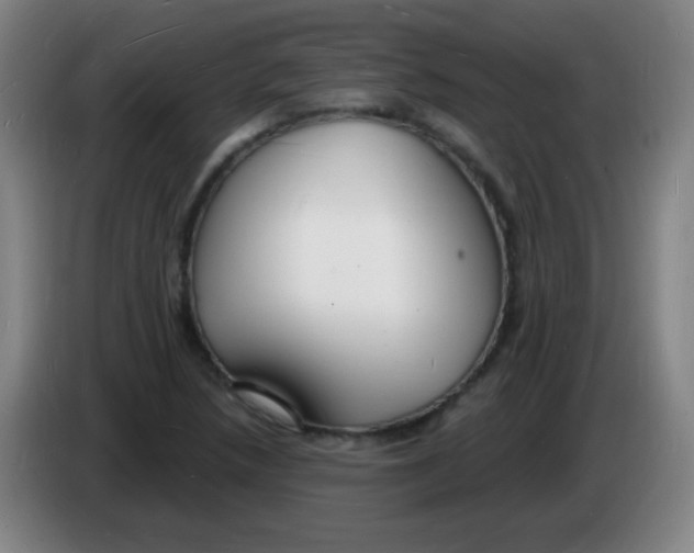 X0000085281218200703301908