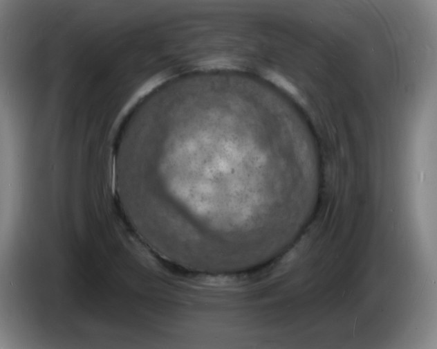 X0000085281219200703301908