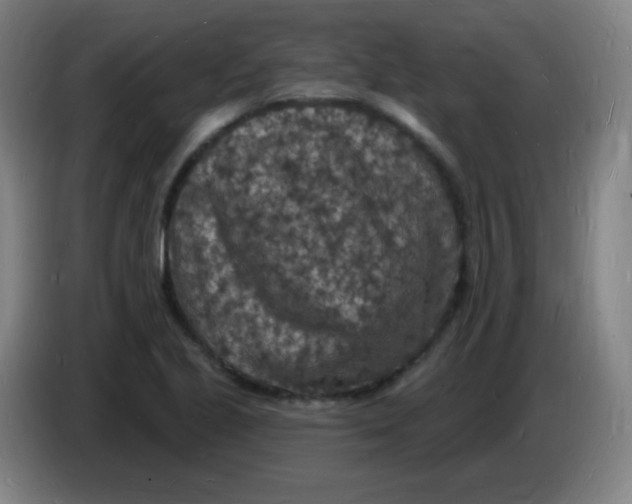 X0000085281221200703301908