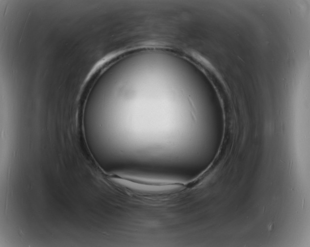 X0000085281222200703301909